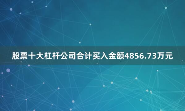 股票十大杠杆公司合计买入金额4856.73万元