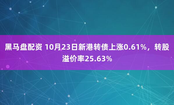 黑马盘配资 10月23日新港转债上涨0.61%，转股溢价率25.63%