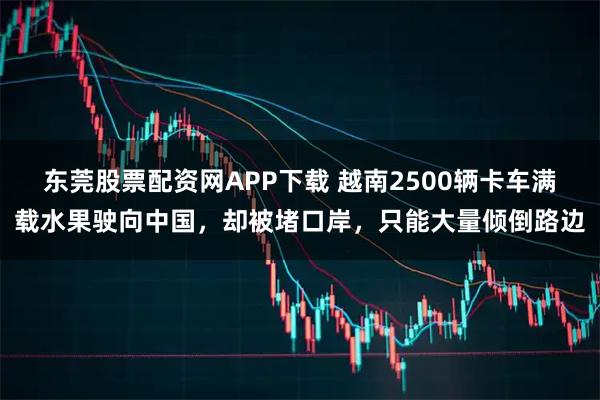 东莞股票配资网APP下载 越南2500辆卡车满载水果驶向中国，却被堵口岸，只能大量倾倒路边
