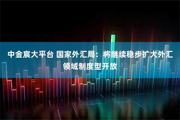 中金宸大平台 国家外汇局：将继续稳步扩大外汇领域制度型开放